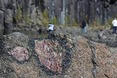 Garnet amphibolite from Gore Mountain.png